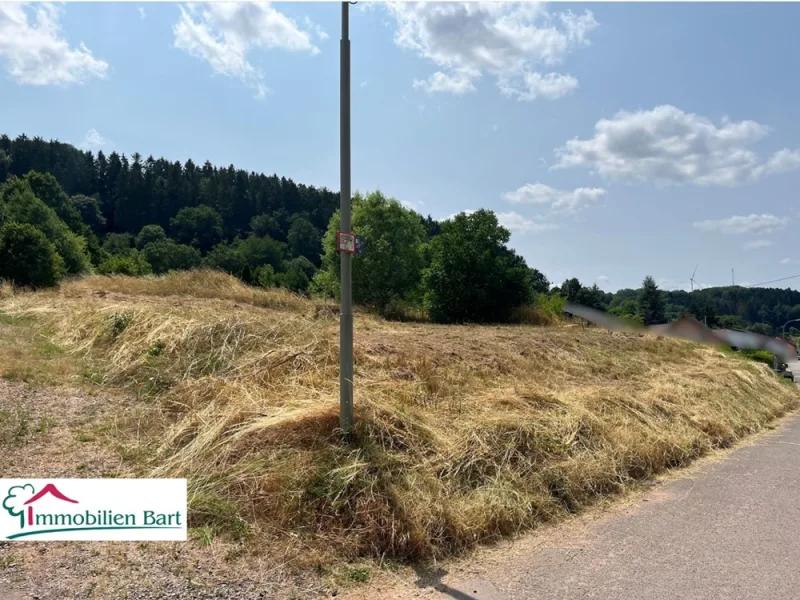 Blickrichtung von links - Grundstück kaufen in Losheim am See / Rimlingen - 11 AR BAUGRUNDSTÜCK IN TOP LAGE IN DER NÄHE LOSHEIM AM SEE!