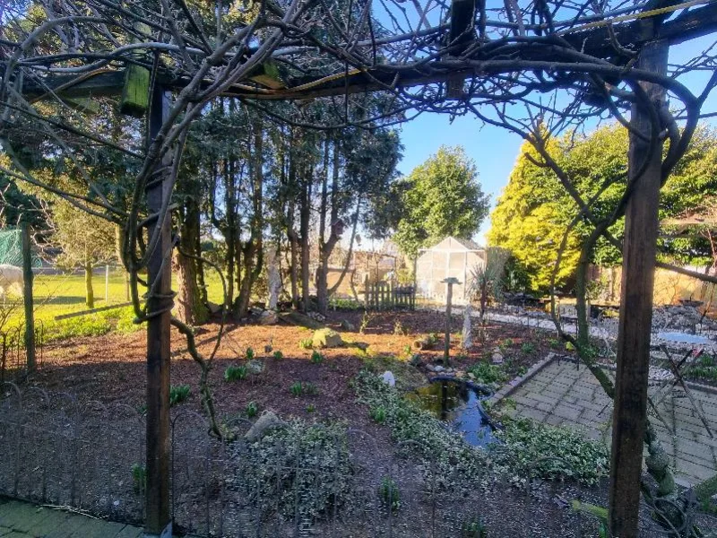 Blauregen-Pergola im Winter