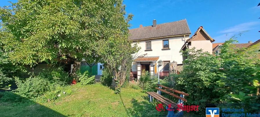 Ausblick vom Garten  - Haus kaufen in Nackenheim - Kauf: Nackenheim, zauberhafte Hofreite in zentraler Dorflage