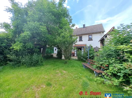 Ausblick vom Garten - Haus kaufen in Nackenheim - Kauf: Nackenheim, zauberhafte Hofreite in zentraler Dorflage