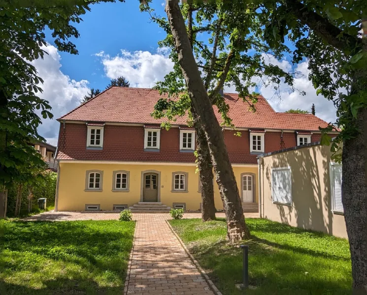 Garten - Büro/Praxis mieten in Saarbrücken - Highlight! Repräsentative Büro/Kanzlei-/Praxisräume in kernsaniertem historischem Gebäude mit Flair