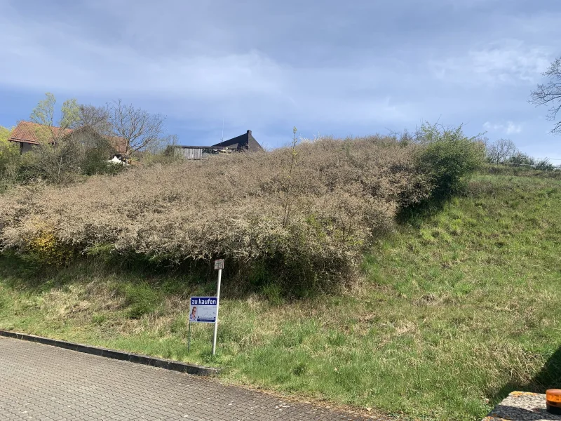 Ansicht - Grundstück kaufen in Niederkirchen - Großes Baugrundstück am Ende einer Sackgasse