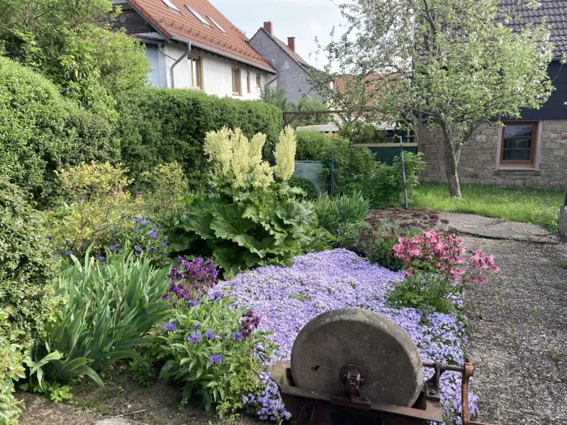 Garten1