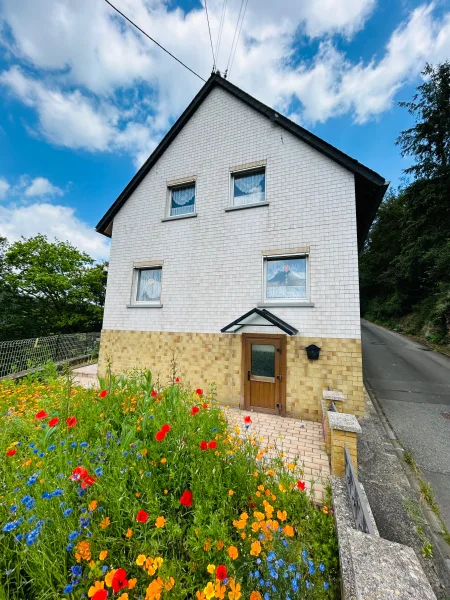 Ansicht - Haus kaufen in Reiffelbach - Einfamilienhaus in ruhiger Waldrandlage von Reiffelbach