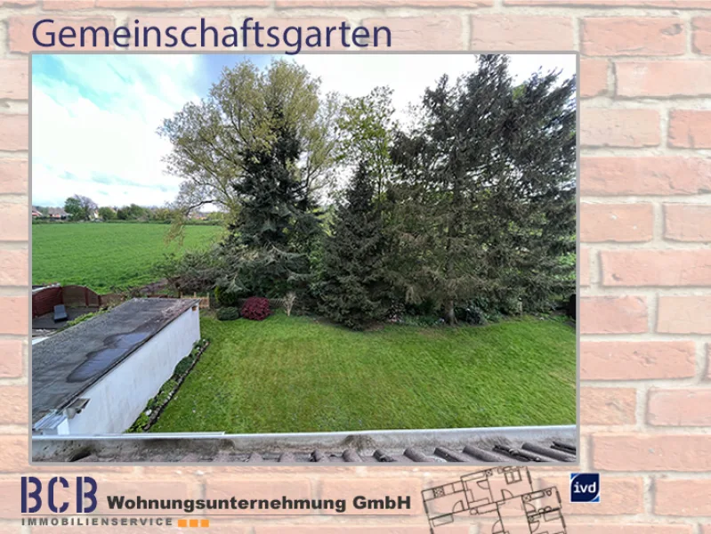 Gemeinschaftsgarten.jpg