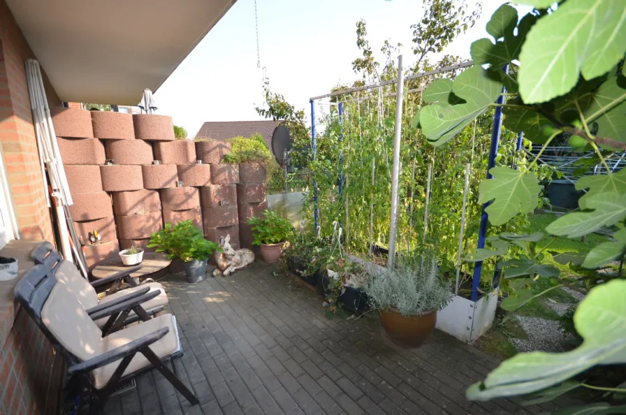 Wohnung EG rechts -Terrasse Bild 1