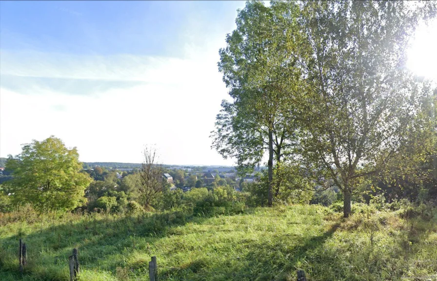 Ausblick 4 - Grundstück kaufen in Sarreguemines - Großes Baugrundstück mit Ausblick in Sarreguemines (F)