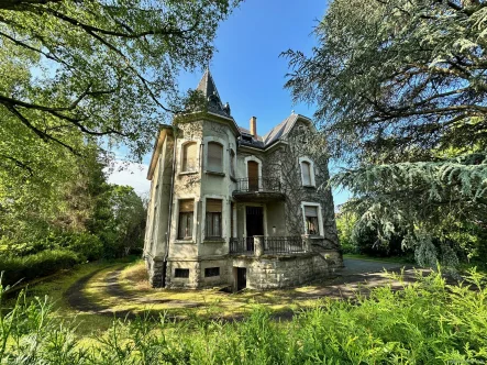 Frontansicht - Haus kaufen in Sarreguemines - Prachtvolles Herrenhaus in idyllischem Park in direkter Grenznähe zu Saarbrücken