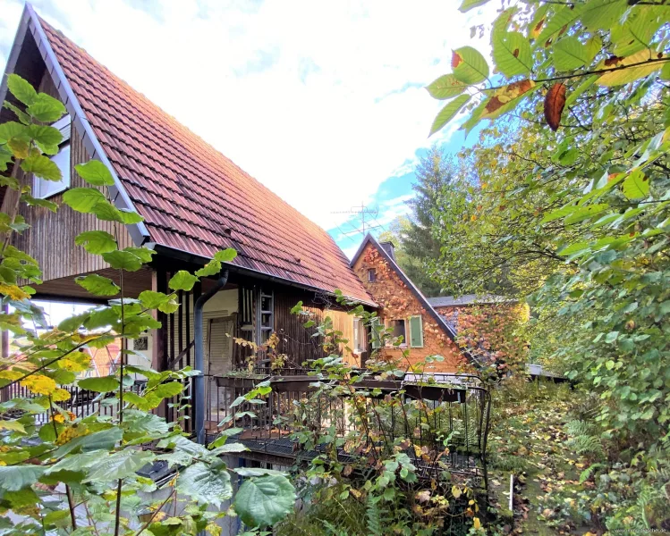 Seitenansicht - Haus kaufen in Saarbrücken - Wecke mich aus dem Dornröschenschlaf, renovierungsbedürftiges Haus mit Charme in Alt-Saarbrücken