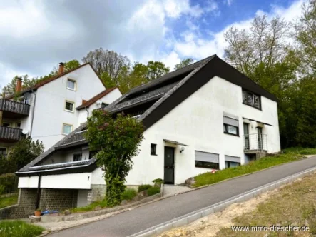 Seitenansicht - Haus kaufen in Friedrichsthal - Gepflegtes vermietetes Drei-Familienhaus mit Garagen in bester Lage von Friedrichsthal