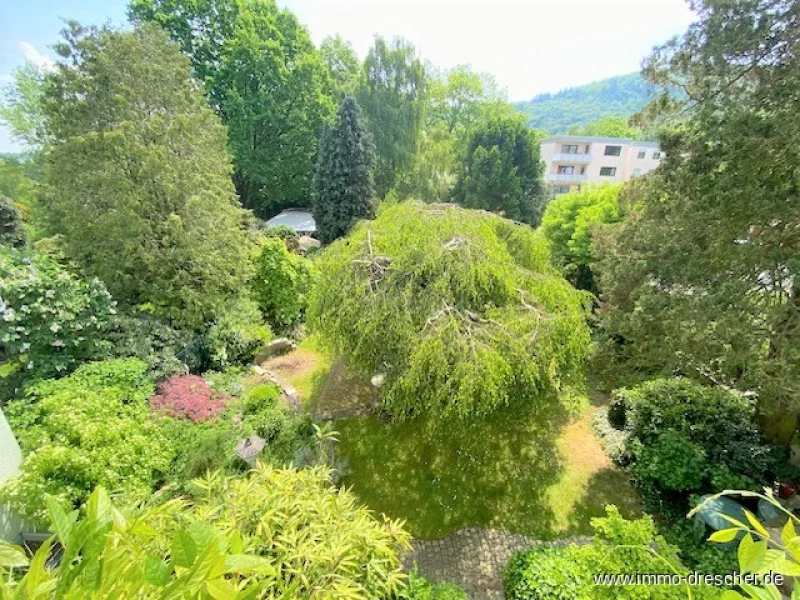 Garten vom Balkon gesehen