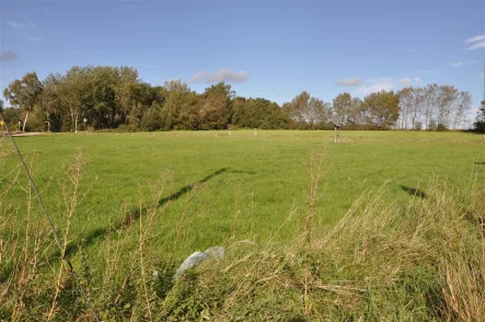 Strassenfront  - Grundstück kaufen in Bad Münstereifel - Bad Münstereifel: Sonniges 1350 qm großes Südwest-Eckgrundstück mit grünem Fernblick! 