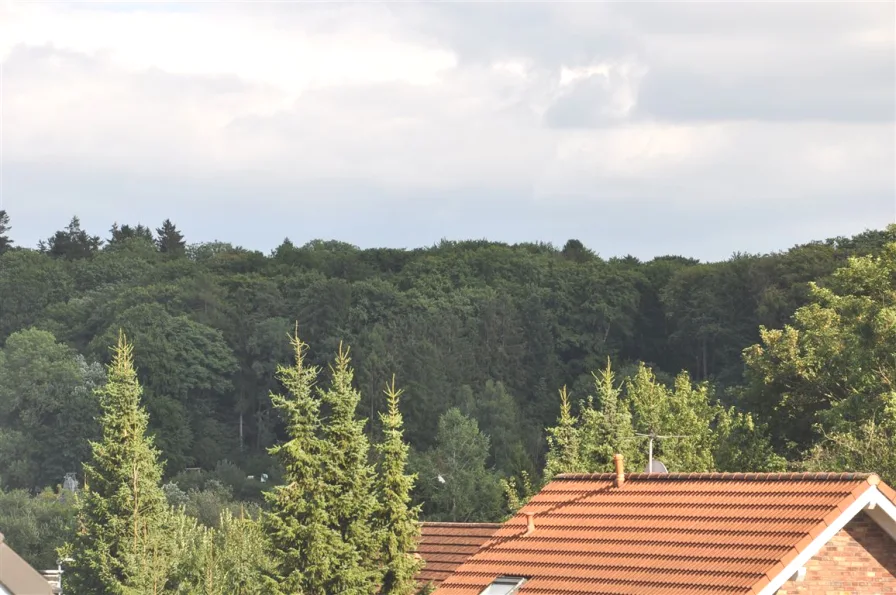 Blick aus Kinderzimmer 2