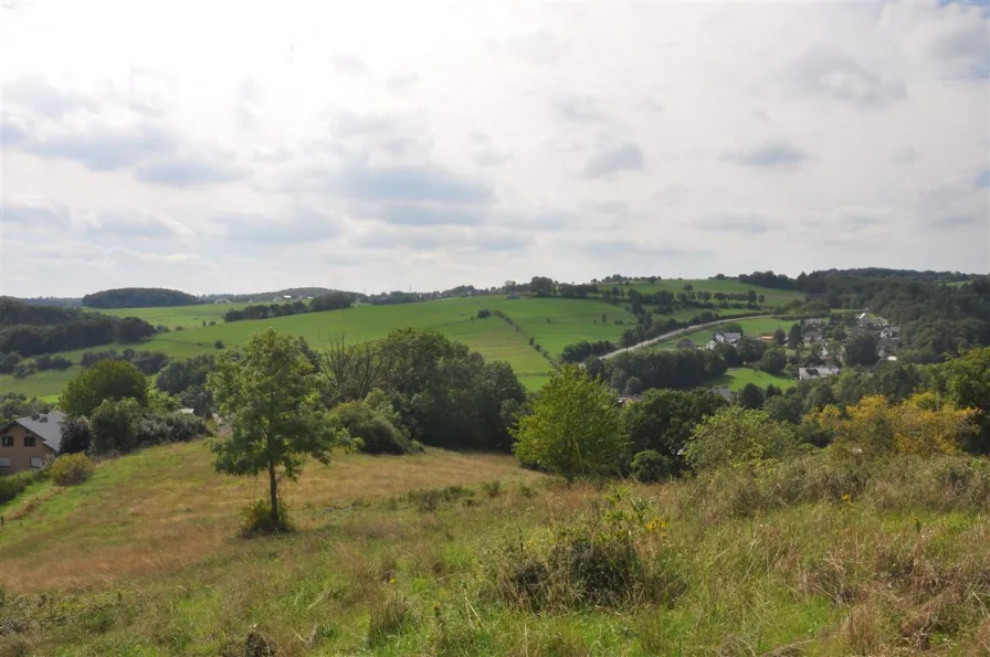 Fernblick - Land- und Forstwirtschaft kaufen in Nettersheim - Idyllisches Wiesengrundstück in schöner Halbhöhenlage mit Rundum-Fernblick in die Eifel!