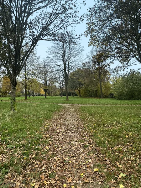 Direkt neben einem großen Park