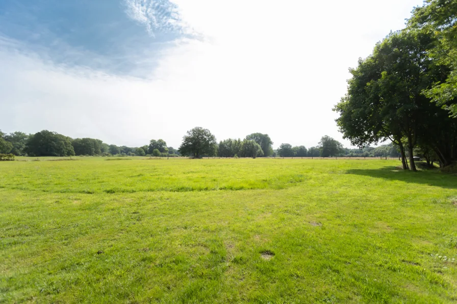 1,7 ha Weiden