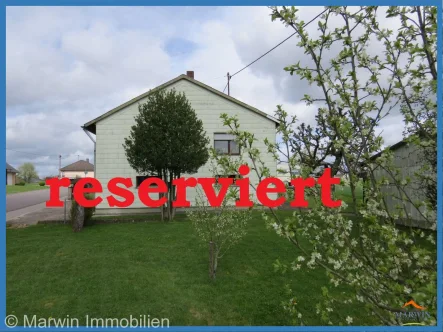 Reserviert - Haus kaufen in Idesheim - Sehr gepflegtes Wohnhaus und Grundstück mit Garage und 2 Gartenhäuser