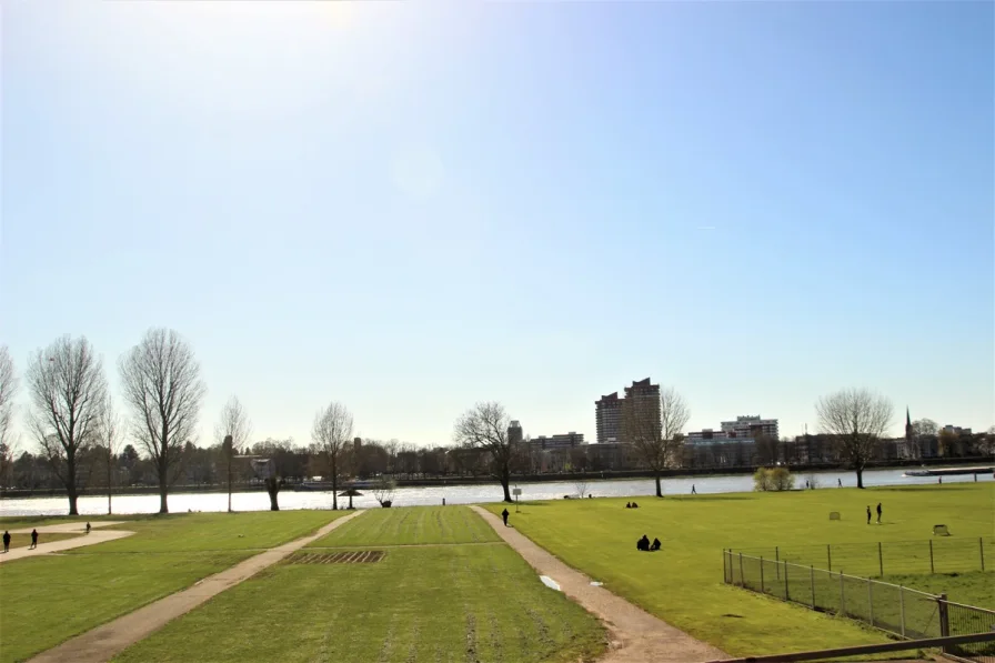 Die Poller Wiesen und der Rhein