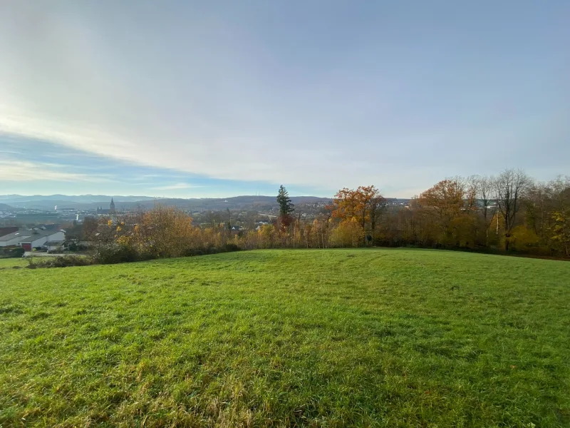 Idyllische Waldrandlage - Grundstück kaufen in Arnsberg - Baugrundstücke in schöner Waldrandlage mit Blick auf Neheim und ins Ruhrtal