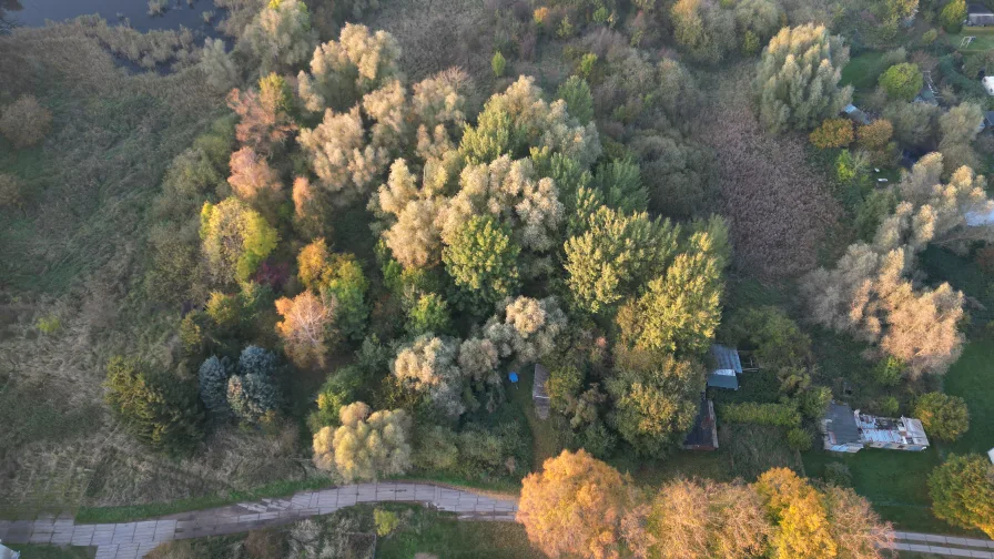 Idylische Grundstückslage - Grundstück kaufen in Gustow - Idyllisches Grundstück in Küstennähe - unbebautes Grundstück auf der Halbinsel Drigge von Rügen