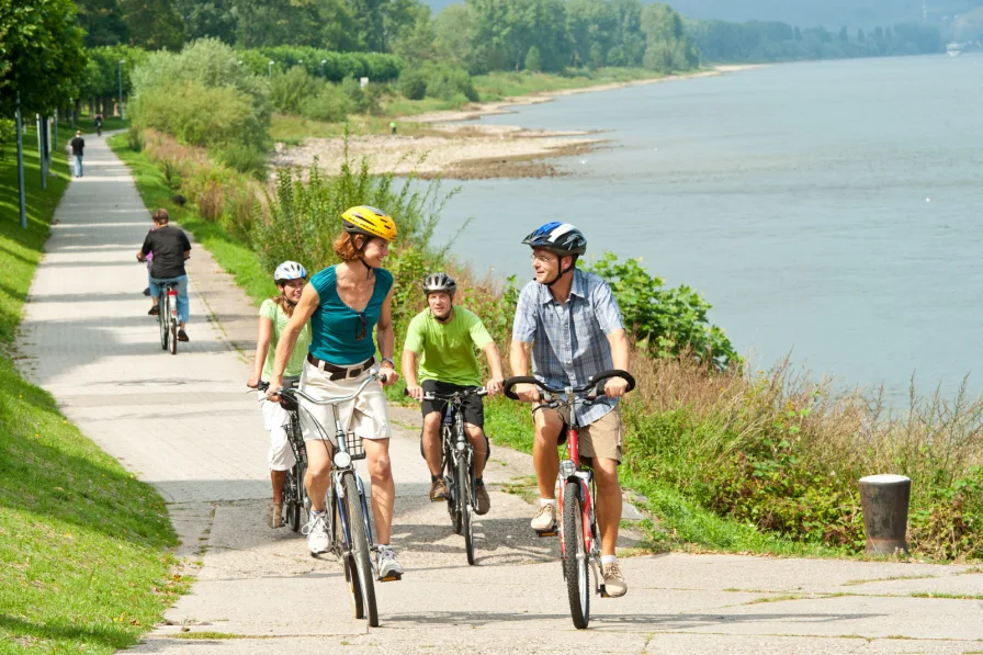 Rheinradweg Bad Breisig.jpg