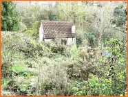 Verwunschener Garten mit Hütte