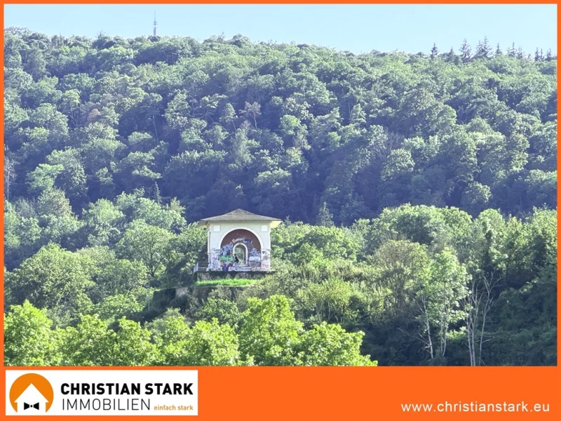 Das wird Ihr Ausblick sein - Wohnung mieten in Bad Kreuznach - Das könnte Ihr Ausblick sein! Beste Aussicht, beste Wohnlage.