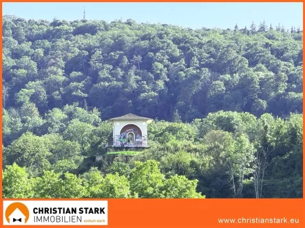 Das wird Ihr Ausblick sein - Wohnung mieten in Bad Kreuznach - Das könnte Ihr Ausblick sein! Penthousewohnung mit bester Aussicht, bester Wohnlage.