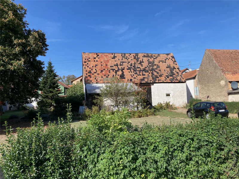 IMG_2153 - Grundstück kaufen in Herxheimweyher b Landau, Pfalz - Einfamilienhaus Baugrundstücke in Südausrichtung!