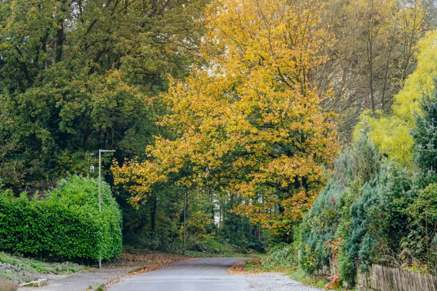 Angrenzender Teutoburger Wald