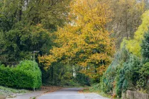 Angrenzender Teutoburger Wald