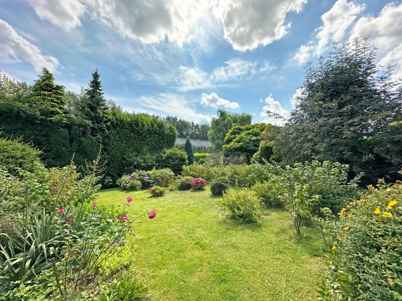 Garten unbebautes Grundstück