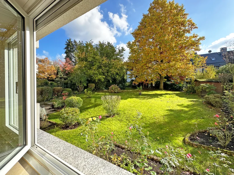 Blick in den Garten