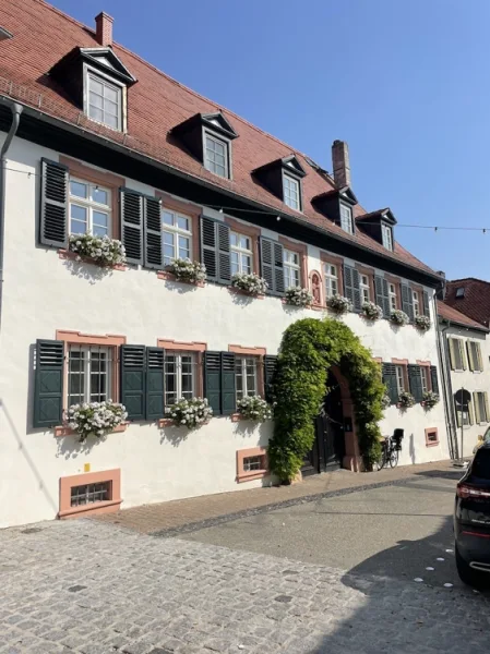 ANSICHT - Haus kaufen in Bodenheim - ImmobilienPunkt***SANIERTES HISTORISCHE ANWESEN - GENERATIONENWOHNEN IM BELIEBTEN BODENHEIM!