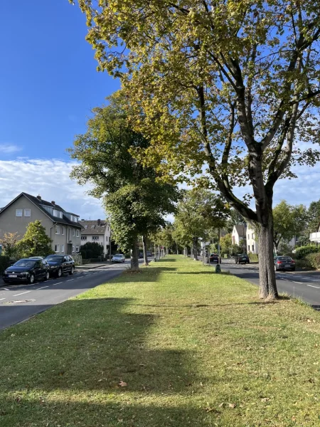 Ringstraße - Allee - Wohnung kaufen in Bonn - Bezugsfrei! Top-moderne 3-Zimmer-Wohnung 1.OG in bester Wohnlage-Ringstraße nur ca. 250 m zum Rhein