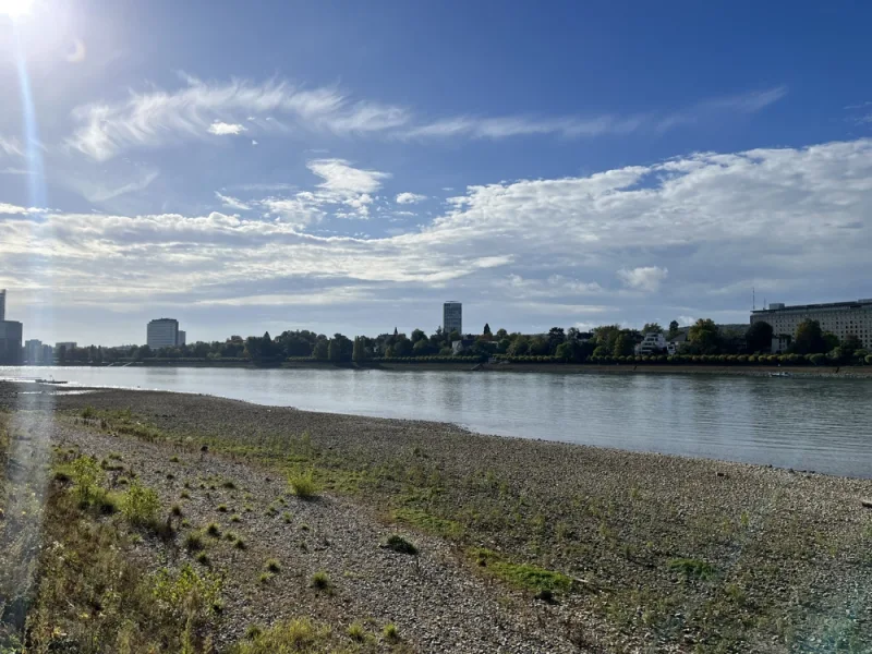 250m zum Rhein