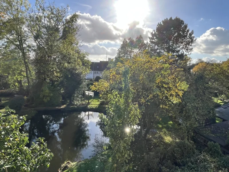 Sonnenblick ins Grüne