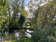 Sonnenblick ins Grüne