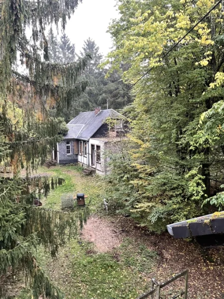 Eppenberg Jagdhaus - Haus kaufen in Eppenberg - Sie lieben das Außergewöhnliche? Ehem. Jagdhaus inkl. eines weiteren Wohnhauses (Bj. 1998) in Waldlage!