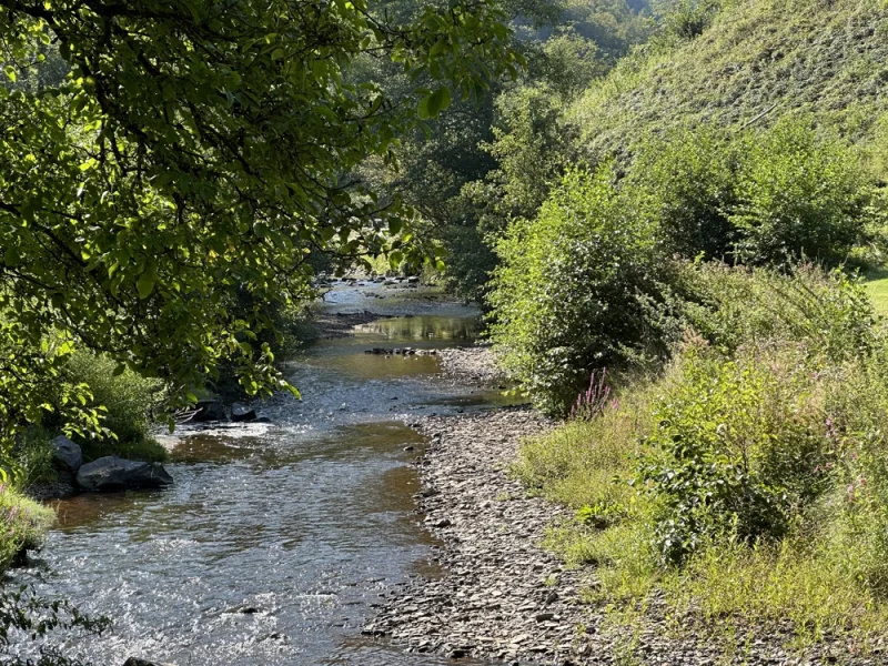 Alfbach mit Radweg