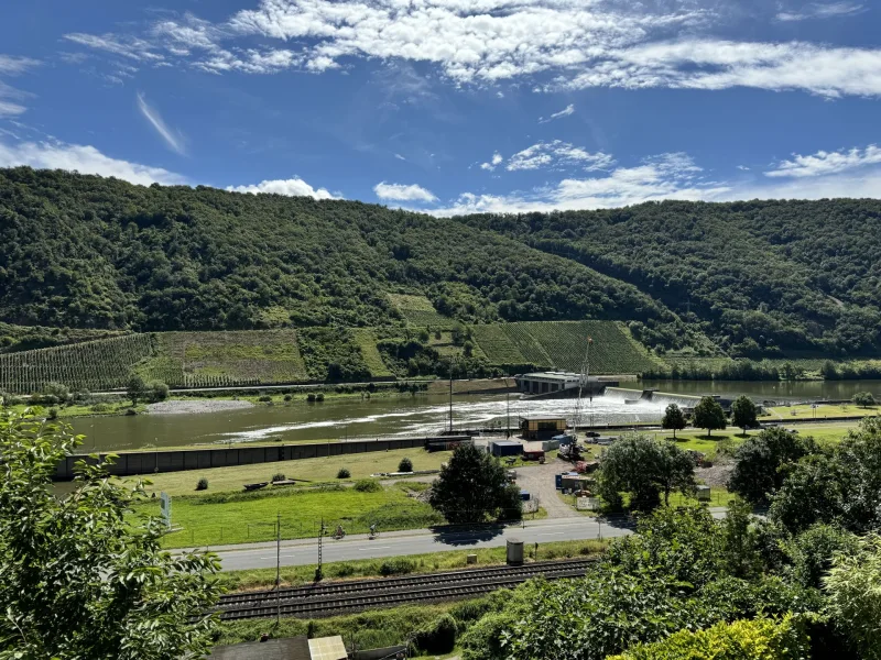 Ausblick auf die Mosel