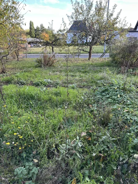 Garten-/Wiesengrundstück