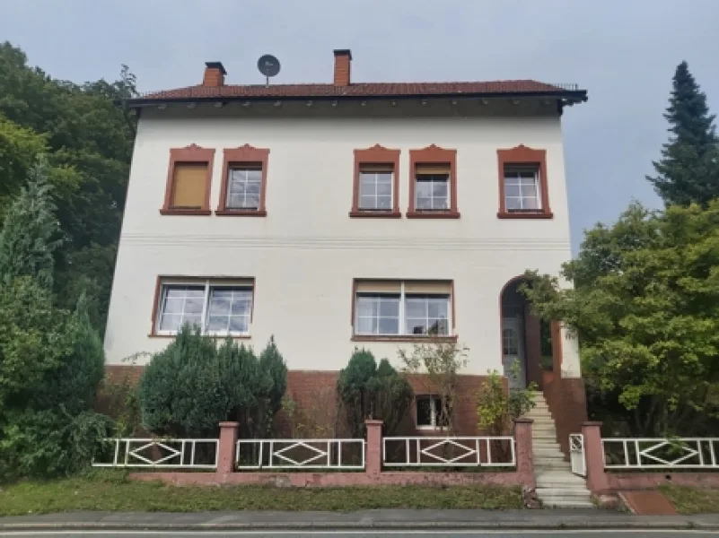 Straßenansicht - Haus kaufen in Hemer / Deilinghofen - Gepflegtes Einfamilienhaus mit großem Grundstück und Doppelcarport in Hemer / Deilinghofen