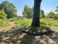 Terrasse und Garten