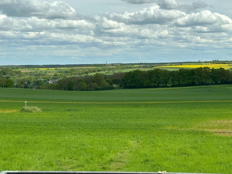 Ausblick vom Garten