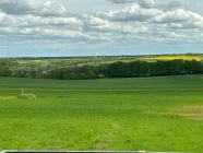 Ausblick vom Garten