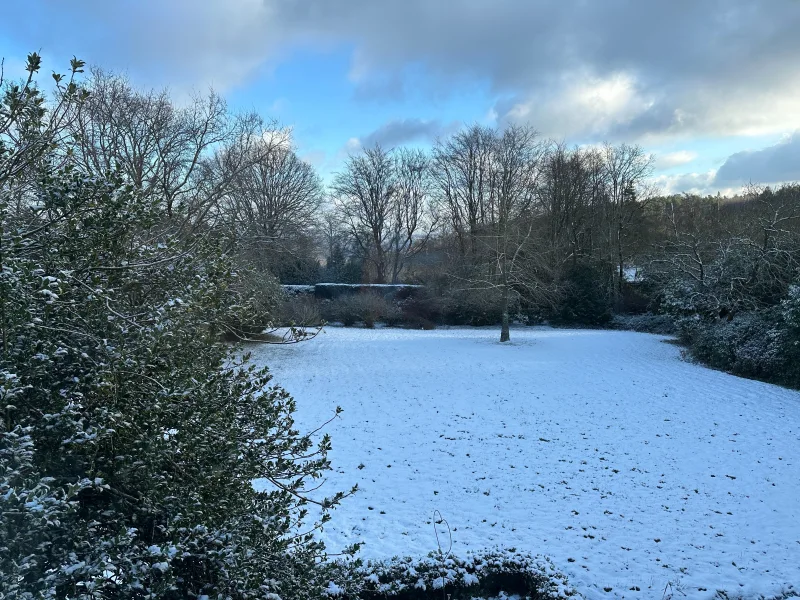 winterlicher Garten im Januar