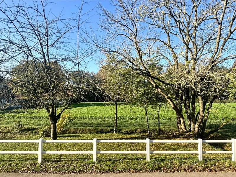 Ausblick Straßenseitig