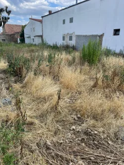 Baugrundstück - Grundstück kaufen in Ludwigshafen - Grundstück gut für Mehrgenerationen-Wohnen geeignet- WS 4112/A3