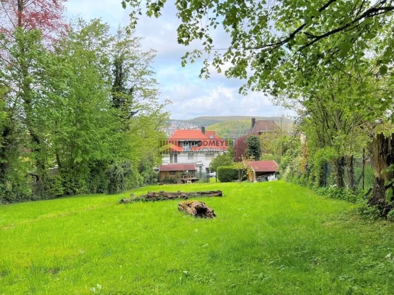 Gartenblick - Haus kaufen in Hagen - Stadtgartenviertel: Villa auf traumhaftem Grundstück mit Garage und Carport!